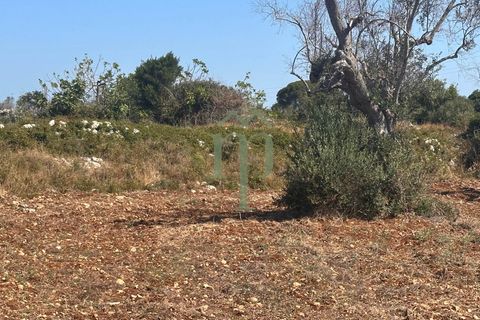 Ruïna a Carovigno, Brindisi, Carovigno - € 225.000 | Ref: Casolare e Trul - foto 14
